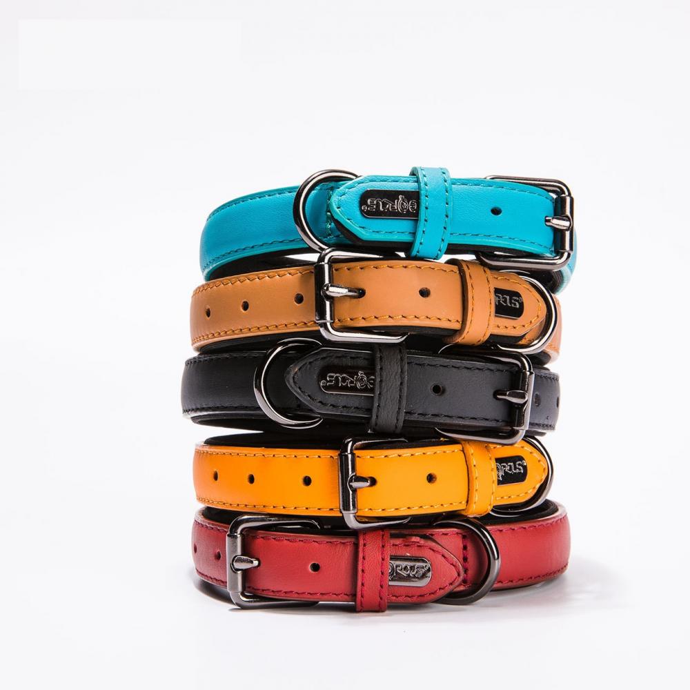 Leather Dog Collar Custom