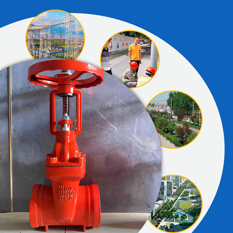 Rising Stem Groove Gate Valve