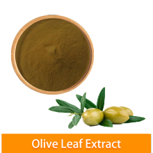 High Quality Bulk Hydroxytyrosol Olive Leaf Extract Powder