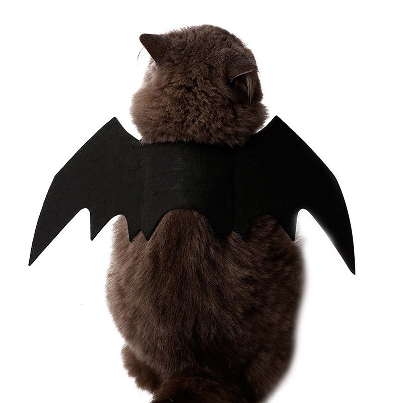 Funny Cats Cosplay Costume Halloween Pet Bat Wings Cat Bat Costume Fit Party Dogs Cats Playing Pet Accessories