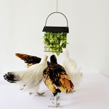 Chicken Feeder Basket Chicks Bird Feeding Foraging Toy Metal Hanging Birdfeeders D0AC