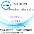 Shenzhen Port Sea Freight Shipping To Alexandria