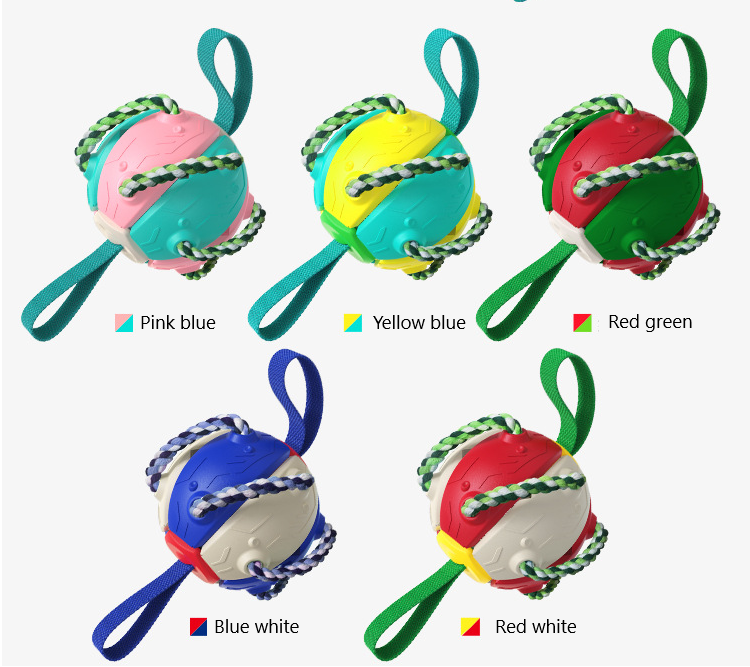 Color Dog Toy Ball