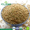 Certified Organic Raw Buckwheat
