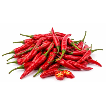 Fresh Spiral Chili for Restaurant Supply