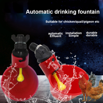 Feed Automatic Bird Coop Poultry Chicken Fowl Drinker Water Drinking Cups Livestock Feeding Watering Supplies