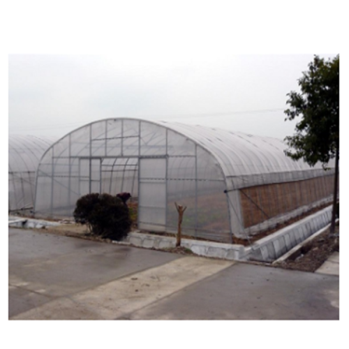 Tunnel Plastic Film Greenhouse for Vegetables Flowers Manufacturers and Tunnel Plastic Film Greenhouse for Vegetables Flowers Suppliers