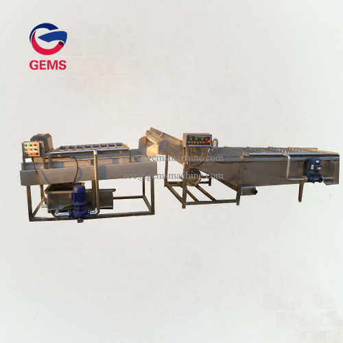 Celery Washer Celery Washing Machine Celery Cleaning Machine for Sale, Celery Washer Celery Washing Machine Celery Cleaning Machine wholesale From China
