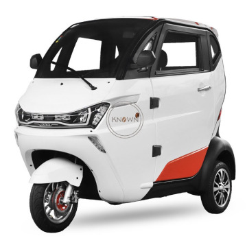 New Arrival Adult Electric Tricycle Vehicle 3 Wheels Family Mobility Scooter Tuk Tuk Car For Sale Customizable