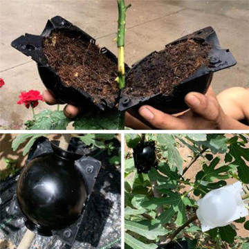 Plant Rooting Device High Pressure Propagation Ball High Pressure Box Grafting Rooting Growing Breeding Case Nursery Trays Lids