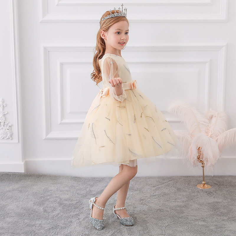 2020New Girl Princess Dress Small Fragrance Long-sleeved Mesh Ball Gown Dress Feather Embroidery Children Wedding Party Clothes