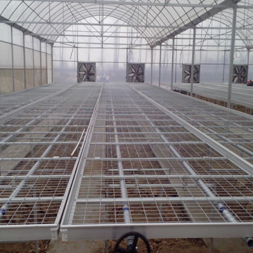 Greenhouse Rolling Bench for seedling nursery Manufacturers and Greenhouse Rolling Bench for seedling nursery Suppliers