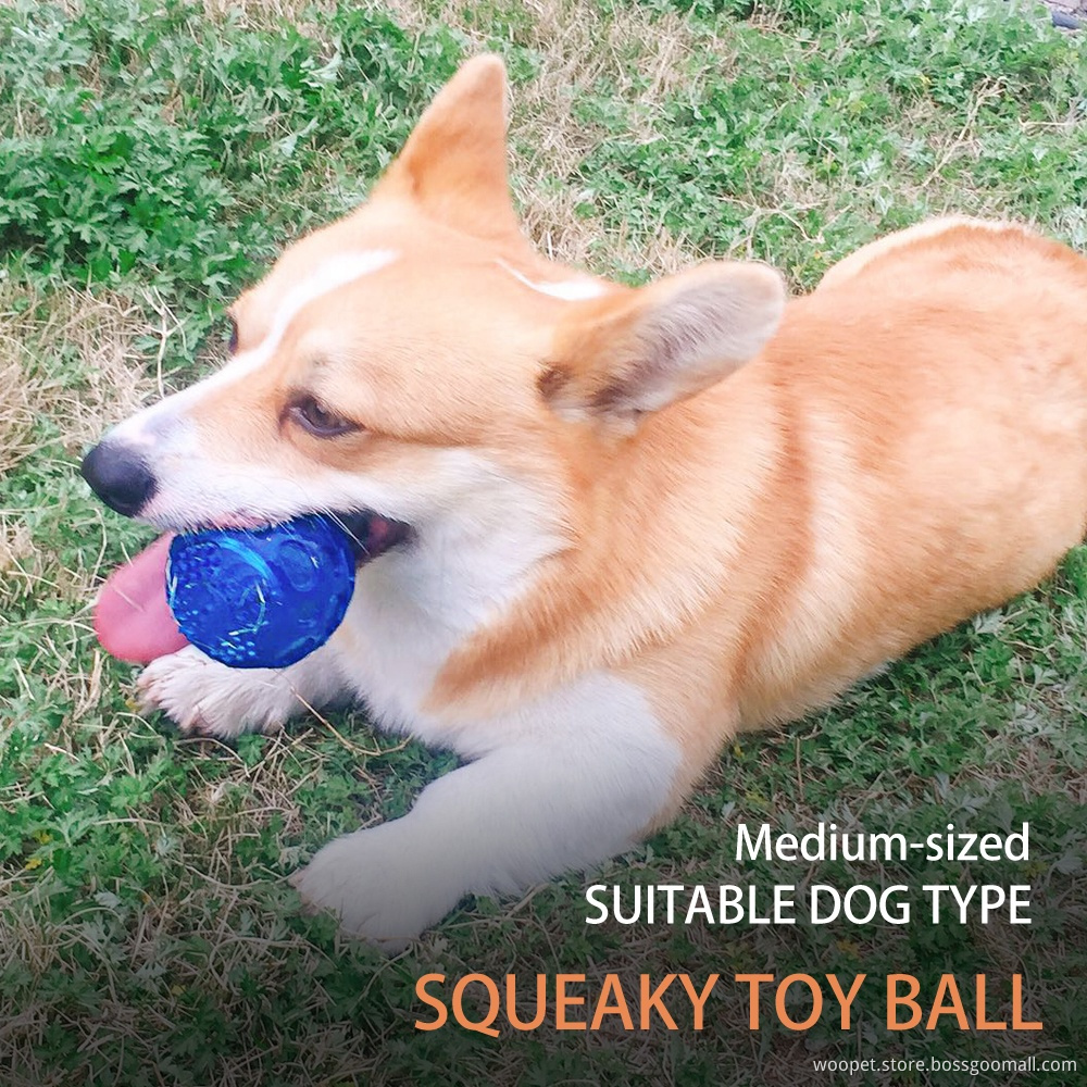 Squeaky ball TPR Dog Toys Funny Teeth Cleaning Toys Floationg Ball Toy