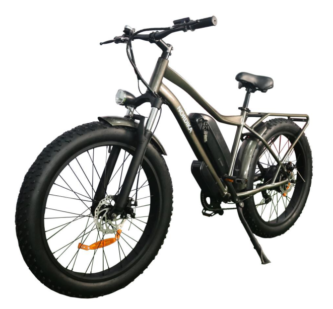 mountain electric bicycle