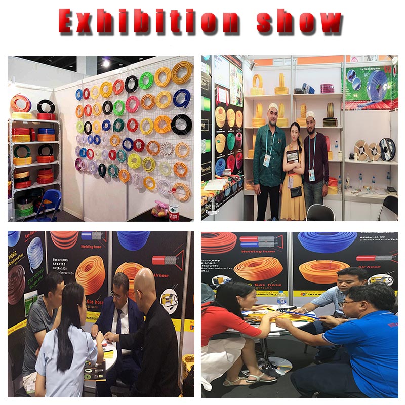 Triển lãm Exhibition Show