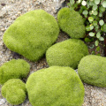 Simulation Moss False Green Stone Rock Lichen Plant Miniature Photography Shooting Background Adornment Photo Studio Accessories