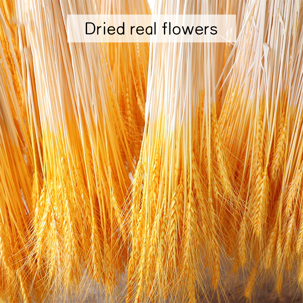 Real Wheat Ear Flower Decoration Natural Pampas Rabbit Tail Grass Dried Flowers For Wedding Party Decor DIY Craft