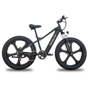 Electric Fat Tire Bike for competition