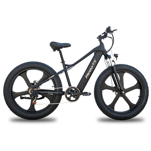 Electric Fat Tire Bike for competition Manufacturer Electric Fat Tire Bike for competition from China