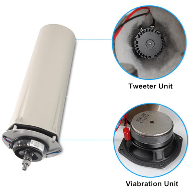Loudspeaker Horn 