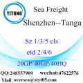 Shenzhen Port Sea Freight Shipping To Tanga