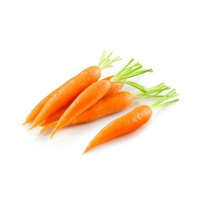AKARZ Famous brand free shipping natural aromatherapy Carrot oil Aging skin care base carrier oil Carrot essential oil
