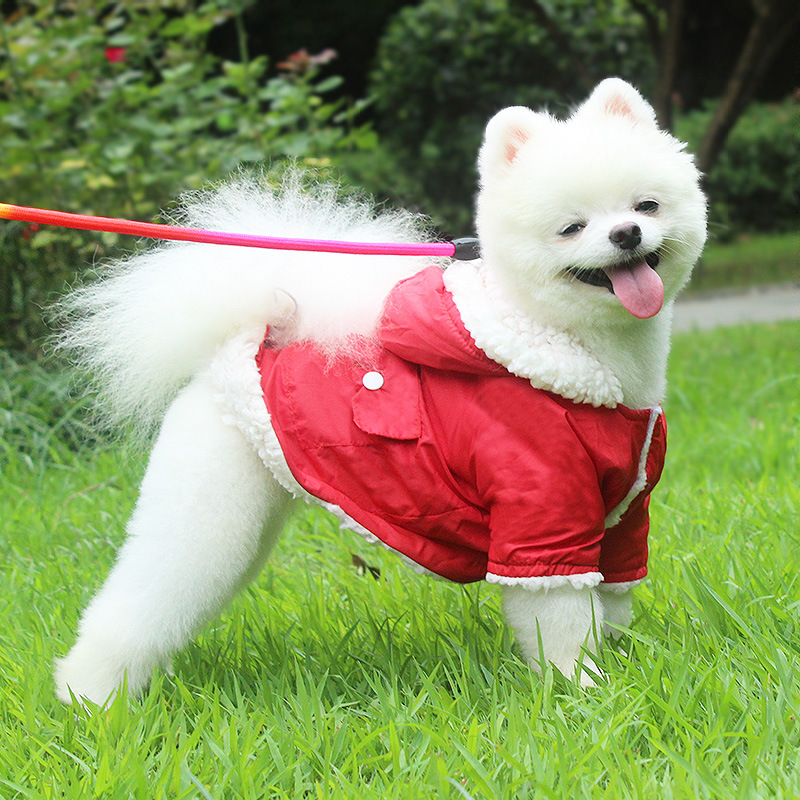 Pet Clothing Market