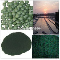Export quality 0.25g/pill Organic Spirulina rich vitamin Anti-fatigue Anti-radiation natural for slimming raw material