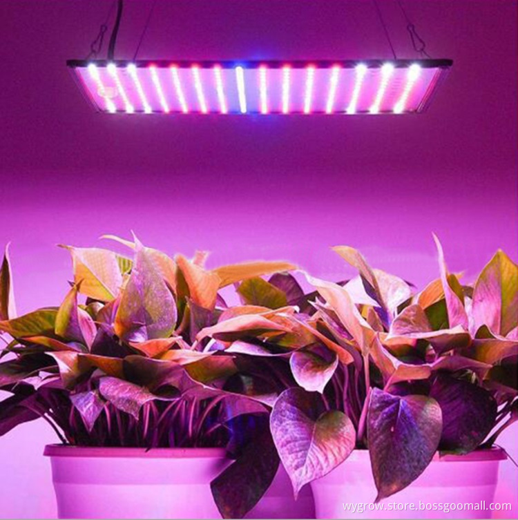 Hot Sale Wenyi 225 leds grow light panel