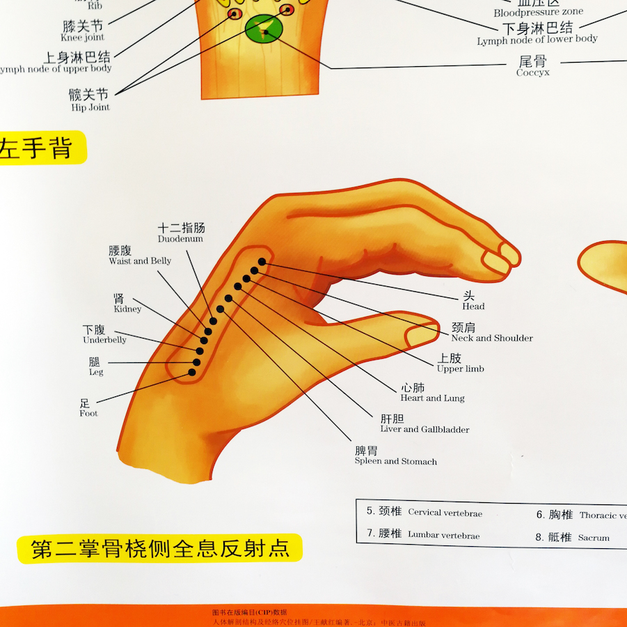 The Newest Standard Reflection Hologram of the Hand / Foot Bilingual charts Chinese and English for Self Care