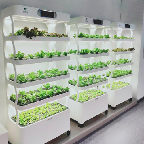 Hydroponic Aquaponics Growing Systems indoor growing Manufacturers and Hydroponic Aquaponics Growing Systems indoor growing Suppliers