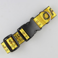Fashion Nylon Dog Collar For Leash and Collar Pet Collars Dog Products Best Selling