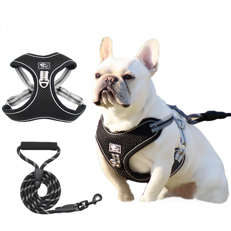Best Puppy Harness And Leash Set