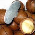 Portable Nut Cracker sheller Walnuts MACADAMIA NUTS Metal Key Opener Nut tools Free shipping