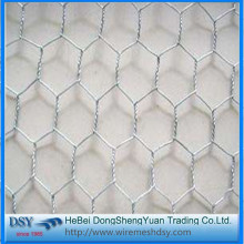 China Pvc Hexagonal Wire Mesh Carbon Steel Wire Mesh Manufacturer