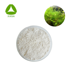 Algae DHA Doconexent Docosahexaenoic Acid Powder 6217-54-5