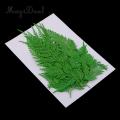 12pcs Natural Press Fern Leaves Pressed Real Dried Flower Dry Leaves for DIY Crafts Bookmark Scrapbooking Card Making