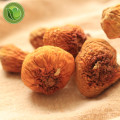 Dried Almond Mushroom/Agaricus Blazei/Jisongrong