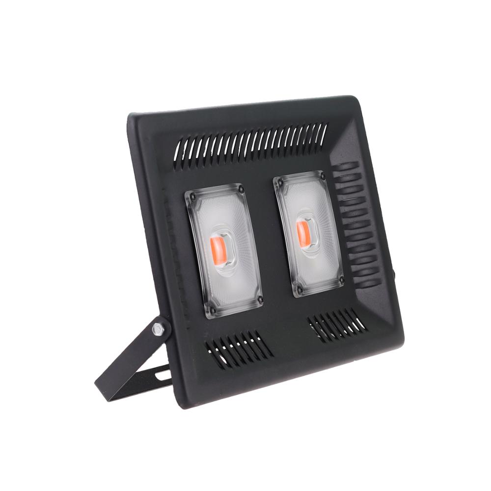 AC220V 110V LED Growing Floodlight 100W