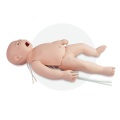 Infant Whole Body Venipunture Simulator