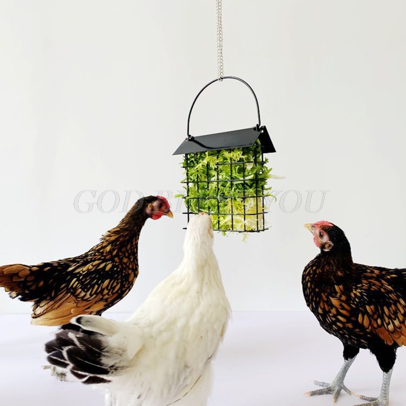 Chicken Feeder Basket Chicks Foraging Toy Metal Hanging Birdfeeders Bird Feeding Device for Small Parakeets Cockatiels