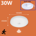 30W Sensor Lamp