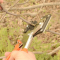 Garden Fruit Tree Pro Pruning Shears Scissor Grafting Cutting Tool Pruner Tree Cutting Tool Garden Engraft Grafting Tool Set