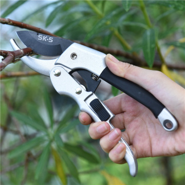 Pruning Shears Fruit Tree Scissors Cut Flowers Garden Shears Flower Pruning Scissors Branch Flower Scissors Pruning Branches