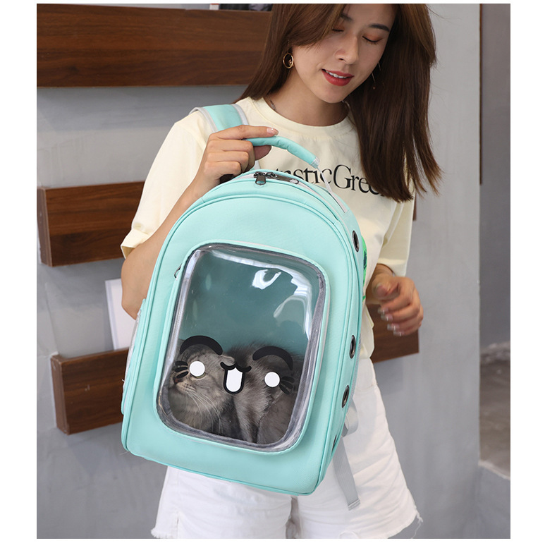 Pet Travel Carrier