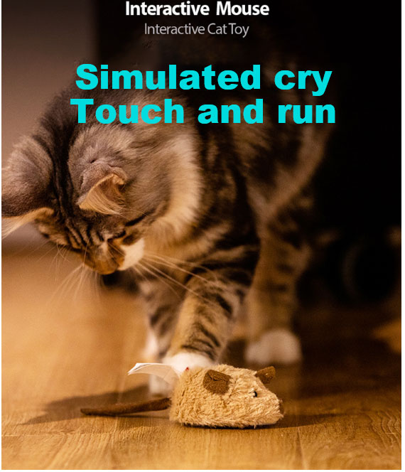 Mouse Toy Jpg