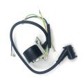 Ignition Coil Module for stihl FS160 FS220 FS280 Lawn Mower Brush Cutter Grass