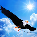 NEW High Quality 3D Eagle-Kite single line stunt kite Outdoor fun Sports Tools toys for kids gifts #C