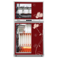 Disinfection Vertical Household Disinfection Cabinet/Cupboard