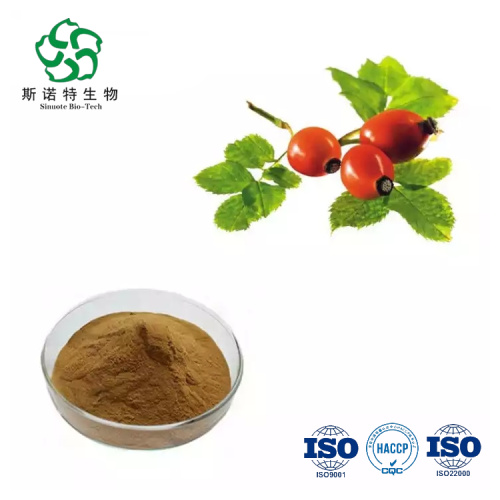 Pure Natural Rosa Canina Extract Powder Water Soluble for Sale, Offer Pure Natural Rosa Canina Extract Powder Water Soluble